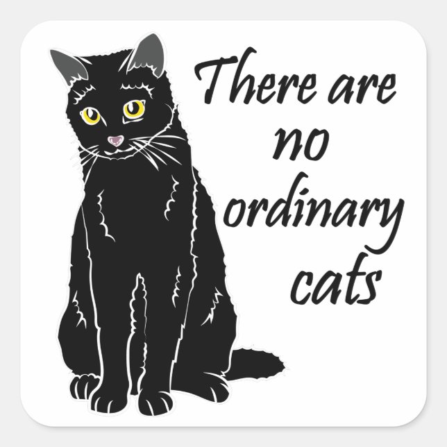 Sticker Carré Il N'Y A Pas De Chats Ordinaires (Devant)