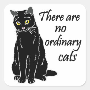 Sticker Carré Il N'Y A Pas De Chats Ordinaires