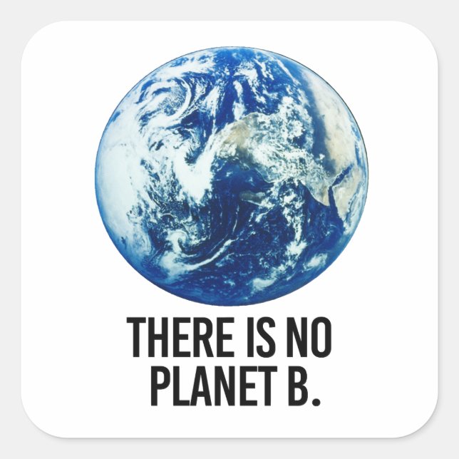 Sticker Carré Il n'y a pas de planète B (Devant)