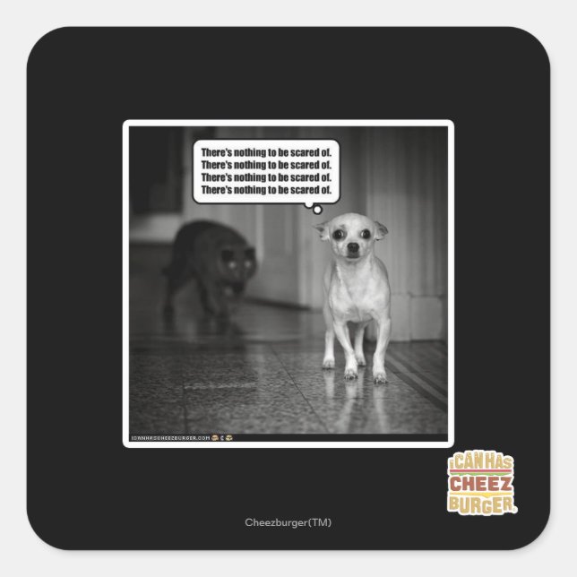 Sticker Carré Il n'y a rien à craindre (Devant)