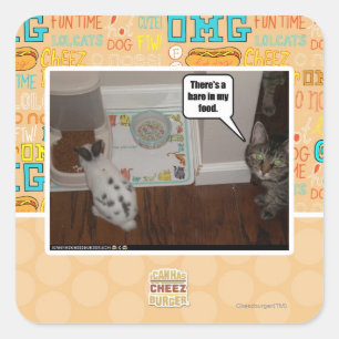 Sticker Carré Il y a des lièvres en ma nourriture