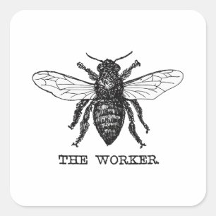 Sticker Carré Illustration d'abeille ouvrière vintage