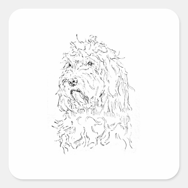 Sticker Carré Illustration de chien, Art mignon Cockapoo (Devant)