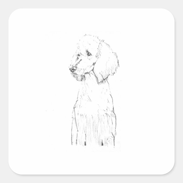Sticker Carré Illustration de chien Caniche Standard  (Devant)