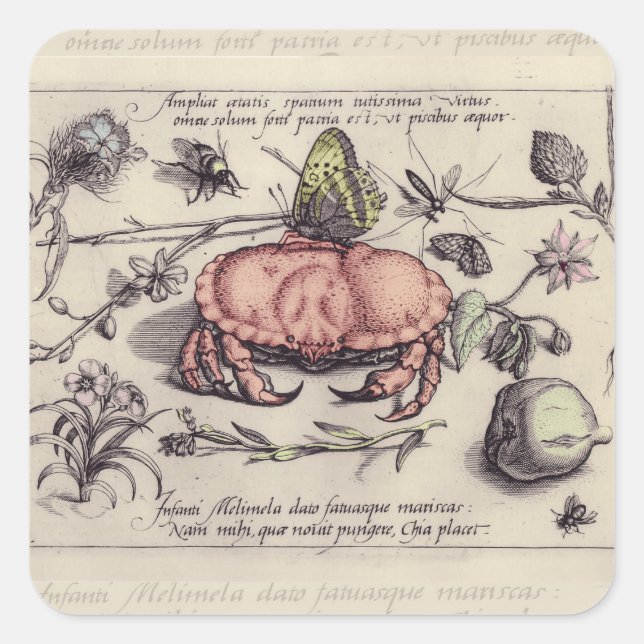 Sticker Carré Illustration de fleur d'insecte botanique de crabe (Devant)