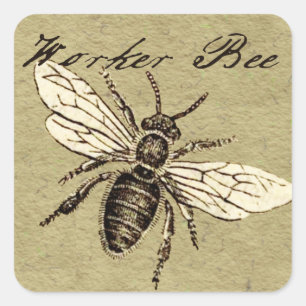 Sticker Carré Illustration de l'insecte d'abeille vintage