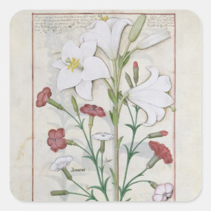 Sticker Carré Illustration du 'livre de simple