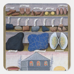 Sticker Carré Illustration du "livre des médecines simples" 2