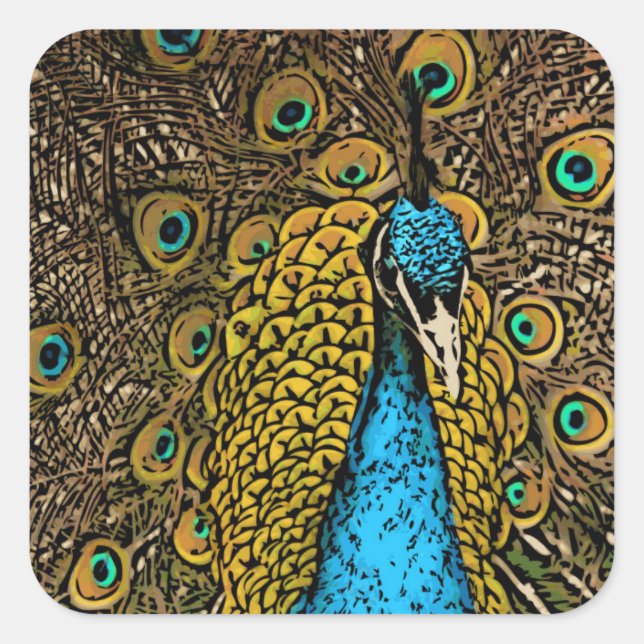 Sticker Carré Illustration Peacock Splendor (Devant)