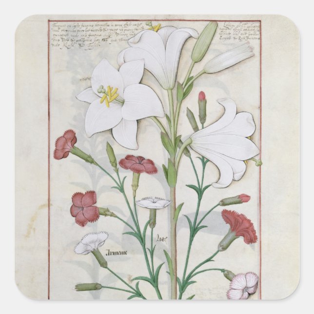 Sticker Carré Illustration tirée du livre "Book of Simple" (Devant)