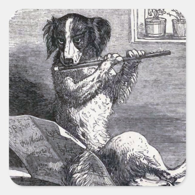 Sticker Carré Illustration Vintage "Dog Playing the Flute" (Devant)
