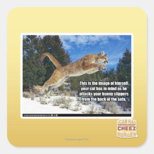 Sticker Carré Image de chat