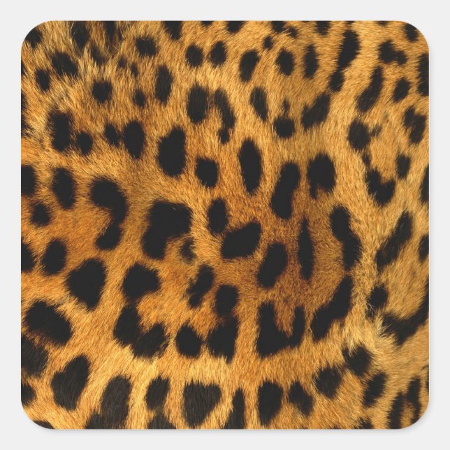 Sticker Carré Impression de fourrure Leopard (Devant)