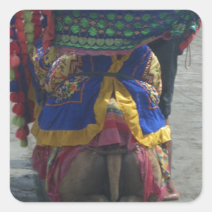 Sticker Carré Imprimé/graphique en forme de chameau