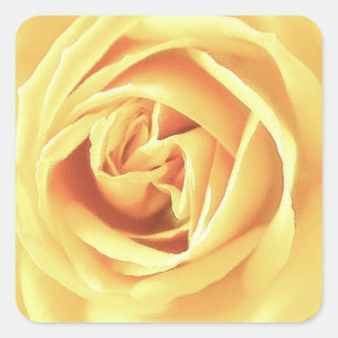 Sticker Carré imprimé rose jaune
