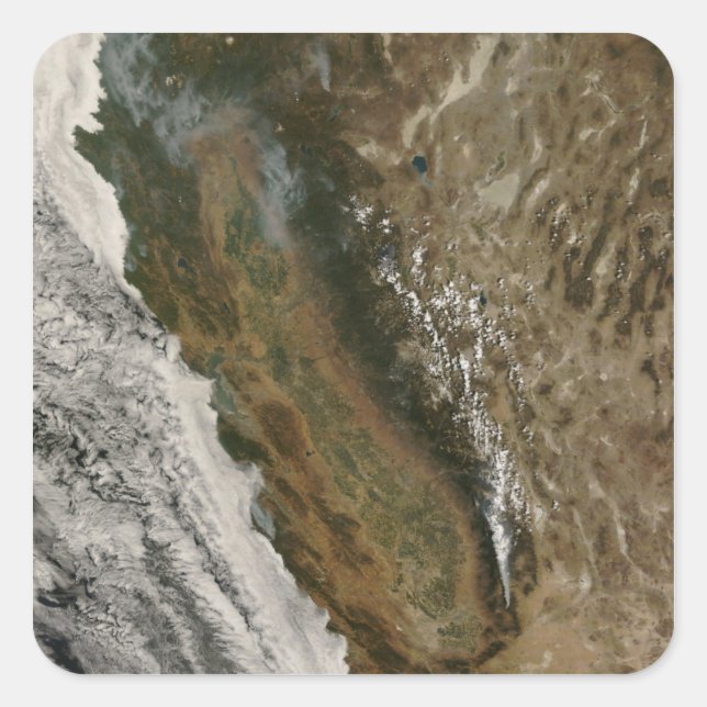 Sticker Carré Incendies en Californie (Devant)