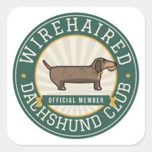 Sticker Carré Insigne vintage du club des Dachshunds à poil dur