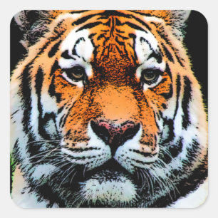 Sticker Carré Inspiration des yeux de tigre