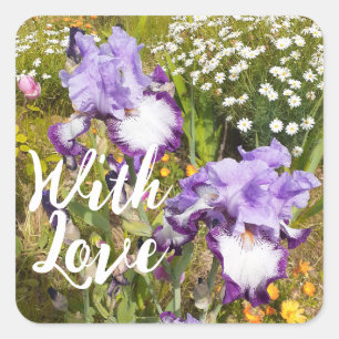 Sticker Carré Iris Irises Fleur Violet Fleur Florale Lavande Amo