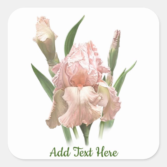 Sticker Carré Iris Rose Pâle (Devant)