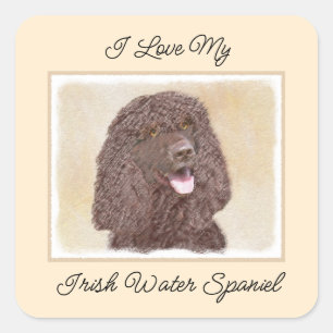 Sticker Carré Irish Water Spaniel Peinture - Original Dog Art