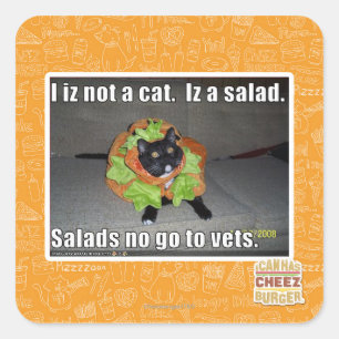 Sticker Carré Iz I pas un chat. Iz une salade