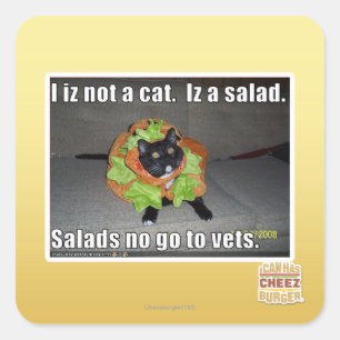 Sticker Carré Iz I pas un chat. Iz une salade