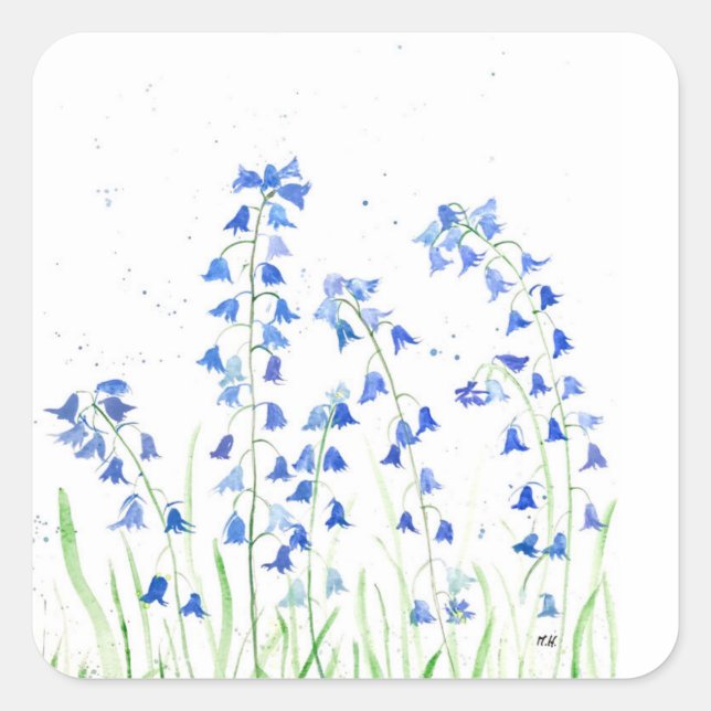 Sticker Carré Jacinthes fleurs bleues verdure botanique  (Devant)