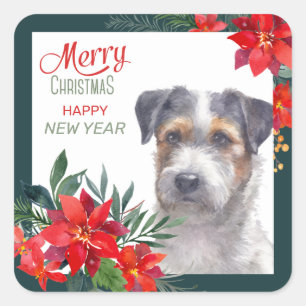 Sticker Carré Jack Russell Terrier Poinsettia frontière Noël