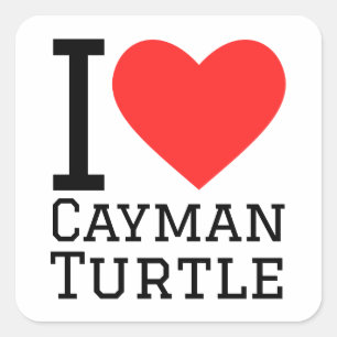 Sticker Carré J'adore la tortue caïman