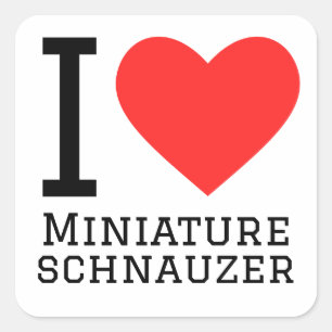 Sticker Carré J'adore les schnauzer miniatures