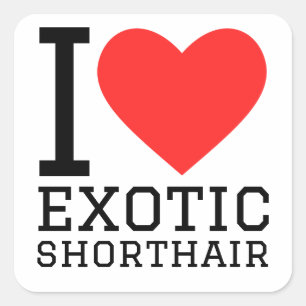 Sticker Carré J'adore les shorthair exotiques