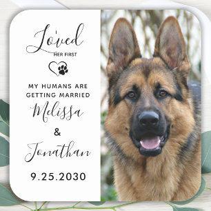 Sticker Carré J'Ai Aimé Son Premier Mariage De Chien Pour Animau