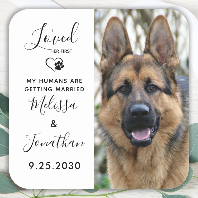 Sticker Carré J'Ai Aimé Son Premier Mariage De Chien Pour Animau (Créateur téléchargé)