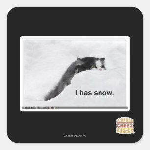 Sticker Carré J'ai de la neige.