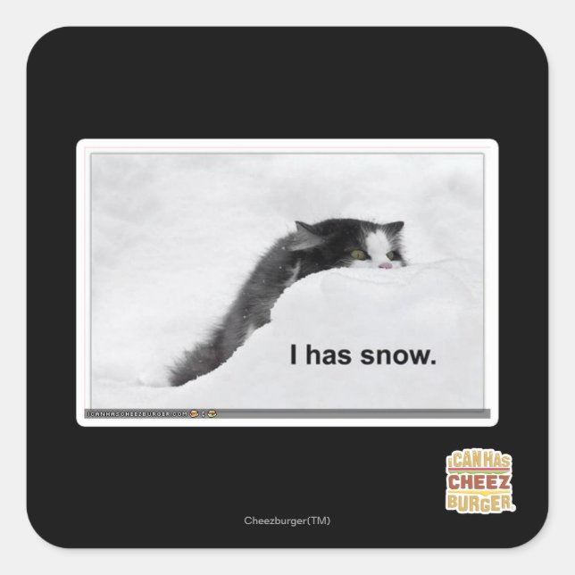 Sticker Carré J'ai de la neige. (Devant)