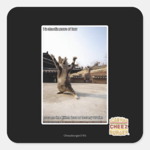 Sticker Carré J'ai des pattes de shaolin de fureur