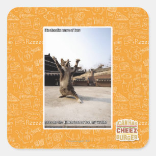 Sticker Carré J'ai des pattes de shaolin de fureur