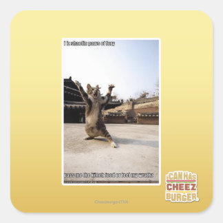 Sticker Carré J'ai des pattes de shaolin de fureur