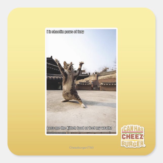 Sticker Carré J'ai des pattes de shaolin de fureur (Devant)