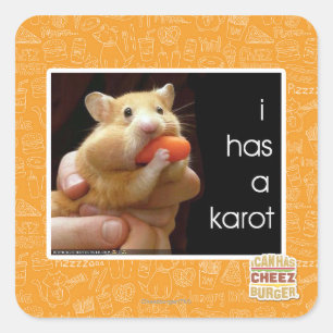 Sticker Carré J'ai un karot