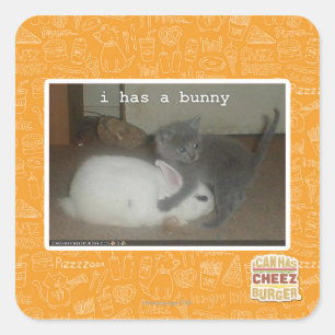 Sticker Carré J'ai un lapin
