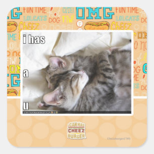 Sticker Carré J'ai un u