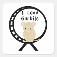 J'aime des gerbilles