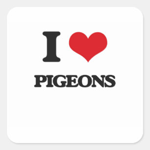 Sticker Carré J'aime des pigeons