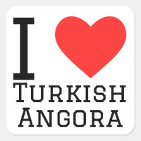 J'aime l'angora turque