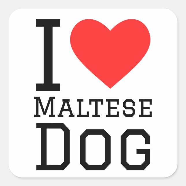 Sticker Carré J'aime le chien maltais (Devant)