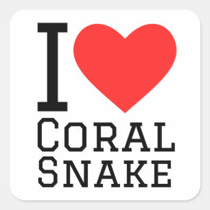 Sticker Carré J'aime le serpent corail