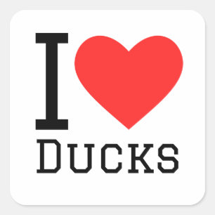 Sticker Carré J'aime les canards