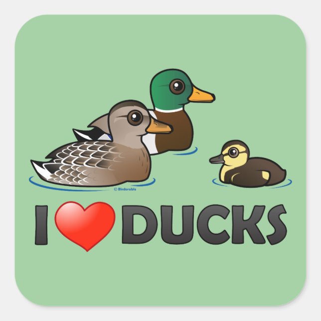 Sticker Carré J'aime les canards (Devant)